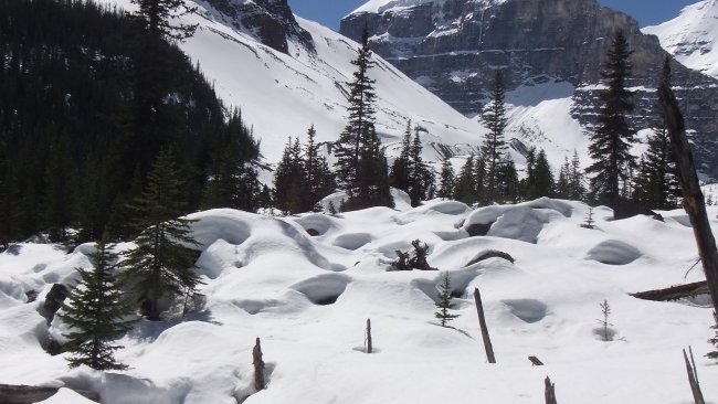 ../previews/013-06_Lake_Louise-Plain_of_Six_Glaciers_Trail23.jpg.medium.jpeg