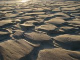 thumbnails/026-SandFlats1.jpg.small.jpeg
