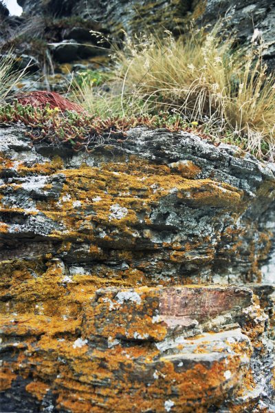 ../previews/030-Otago_Rail_Trail_Disk1_106.jpg.medium.jpeg