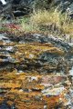 thumbnails/030-Otago_Rail_Trail_Disk1_106.jpg.small.jpeg
