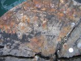 thumbnails/015-Petone_Pier11.jpg.small.jpeg