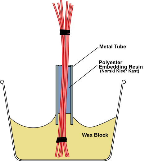 Polyester Embedding Resin cast into a metal tube