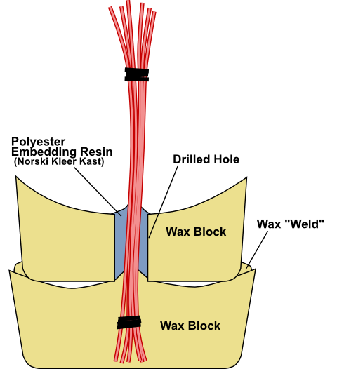 Polyester Embedding Resin cast into a Wax mold